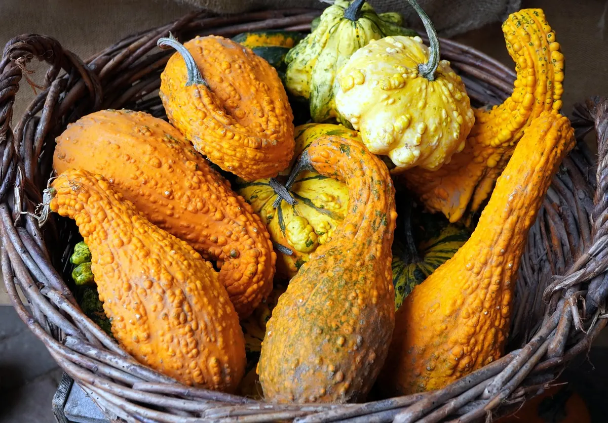 Seasonal Countryside Kitchen: A Month-by-Month UK Produce Checklist